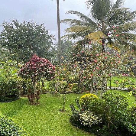 Surveyor'S Residence Bungalow 康提 外观 照片