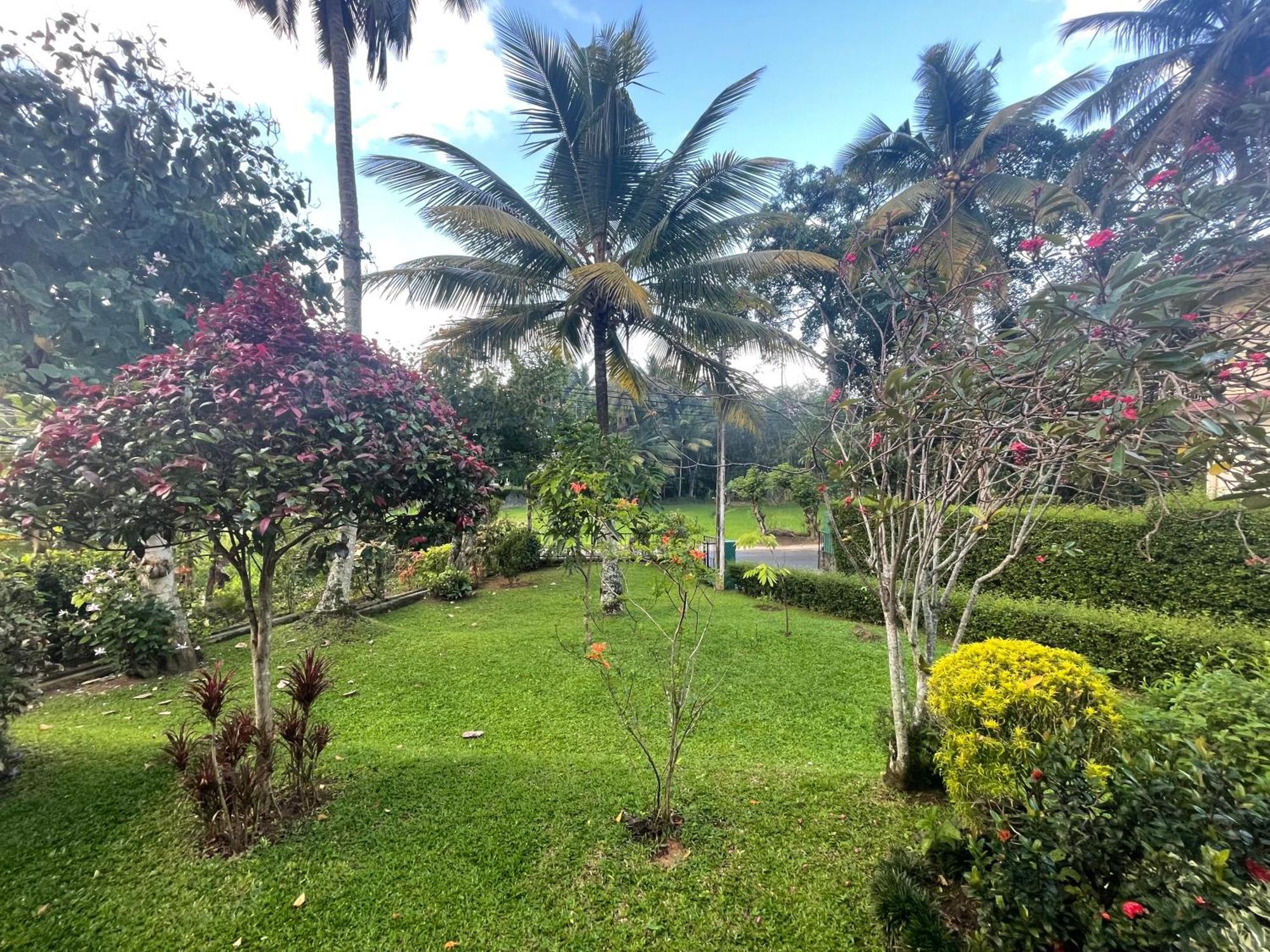 Surveyor'S Residence Bungalow 康提 外观 照片